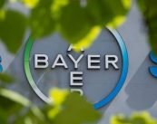 bayer-monsanto